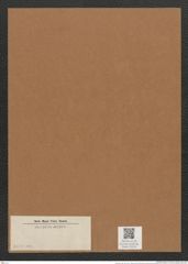 Diatomeae indet. (de-Toni-Nr.: Species 3033) Zeichnungen Sammlung Grunow Mappe 03216 (Herbarium_W_Grunow_drawings_Folder_03216)